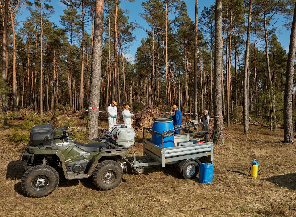 AN Vorsorge Team im Wald